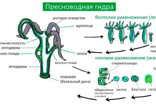 2krn ссылка