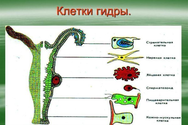 Ссылка кракен сайт зеркало