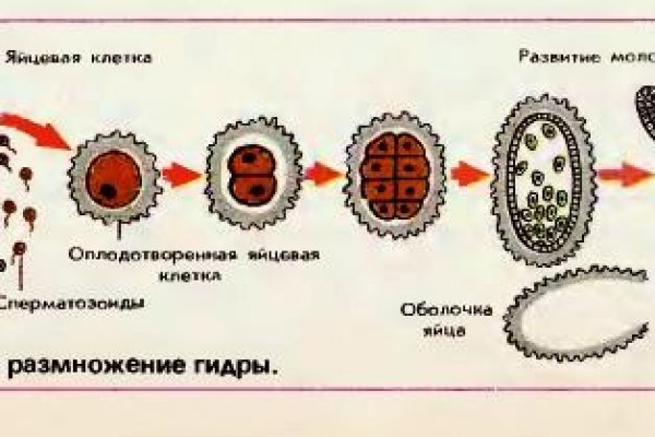 Kraken россия