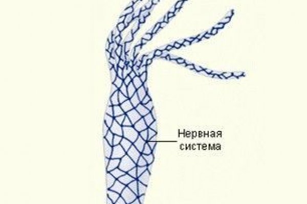 Кракен наркокортель